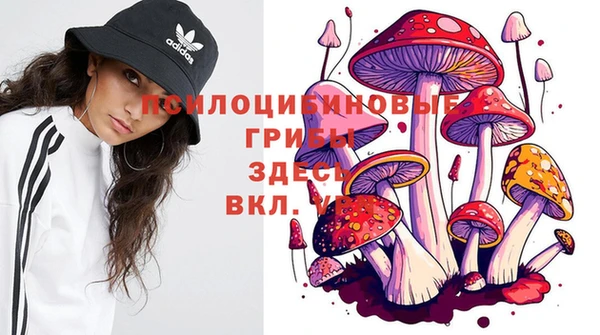 гидропоника Абаза