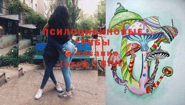гидропоника Абаза