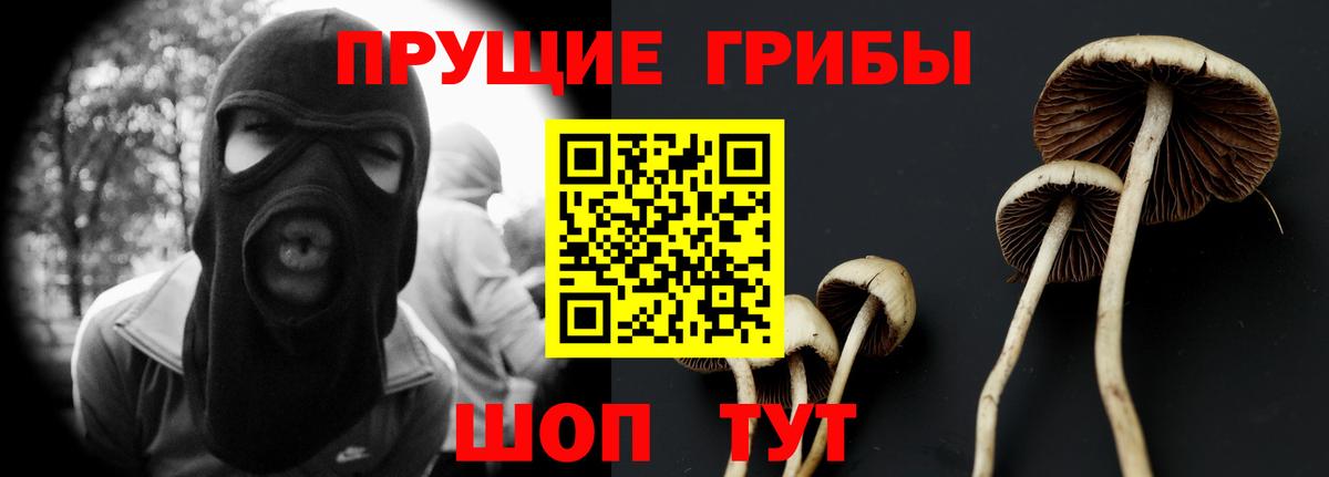 Галлюциногенные грибы Magic Shrooms  Вход с VPN  Урус-Мартан 